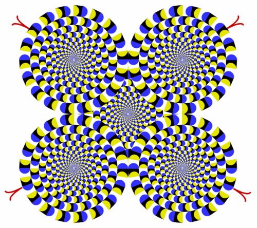 Dillansilva's profile picture. 