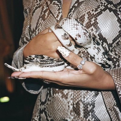 stayfloo's profile picture. 