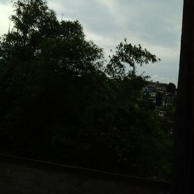 MarciaAriana04's profile picture. 