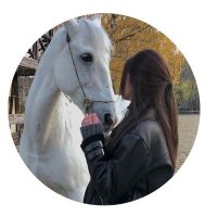 شوق 🐎 (@mxasqr) 's Twitter Profile Photo شوق 🐎 (@mxasqr) 's Twitter Profile Photo