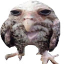 Clor0xform0's profile picture. 𝘘𝘶𝘦 𝘦𝘴𝘵𝘢𝘴 𝘮𝘪𝘳𝘢𝘯𝘥𝘰?

Si, me paso mínimo 6 horas al día jugando.