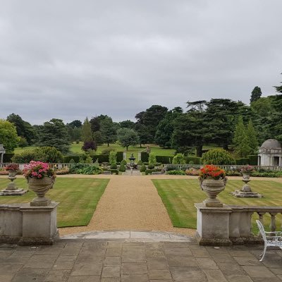 selmay_1's profile picture. 