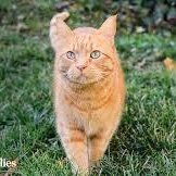 mdmarufbella887's profile picture. "Part of the @DataHaven_xyz community"