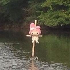 YveSpingo's profile picture. 