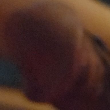 ko_bird98974's profile picture. 