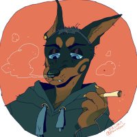 big eared bandit 🐕 (@champagnedoggy) 's Twitter Profile