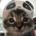 Val (@cutievalll) Twitter profile photo Val (@cutievalll) Twitter profile photo
