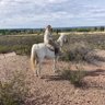 Araucanita2's profile picture. Andar a caballo