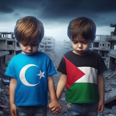 MahmutG48469652's profile picture. 