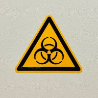 Pfalzkind (@palatinja) 's Twitter Profile Photo