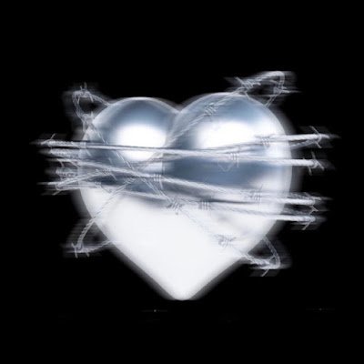 nollascoooo's profile picture. 