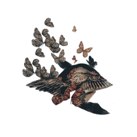  𝔯𝔬𝔱 ✦̲ 𝑏𝑙𝑜𝑜𝑚𓈒 (@godbanes) 's Twitter Profile Photo 𝔯𝔬𝔱 ✦̲ 𝑏𝑙𝑜𝑜𝑚𓈒 (@godbanes) 's Twitter Profile Photo
