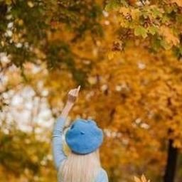 NoadncrYCPp's profile picture. 