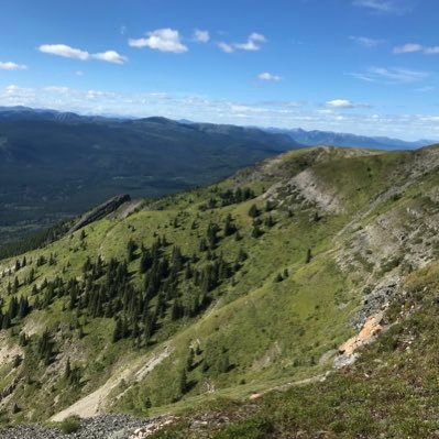 Noluh_9's profile picture. 