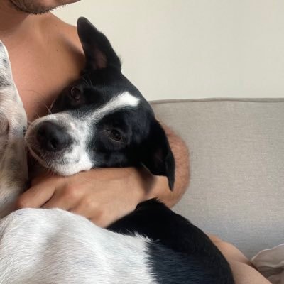 brunoissa's profile picture. 