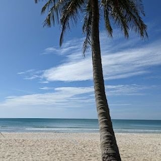 AlanziMarwa's profile picture. عضو شركة المحيط للسياحة والسفر♡