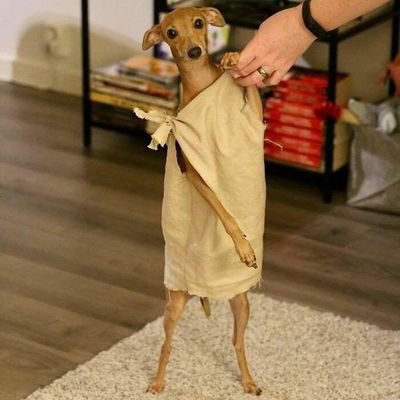 ynky_99's profile picture. intento de pintor