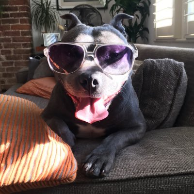 pete_littlefiel's profile picture. LFC