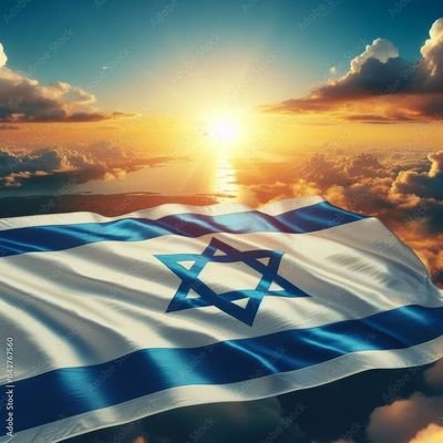 serving with honor,pride,and sacrifice🇮🇱🇮🇱🇮🇱💙❣