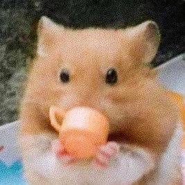 do you think a depressed person could make this? *holds ugly plush doll*