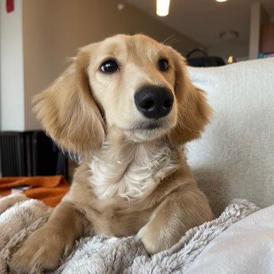 rollcorn4's profile picture. 