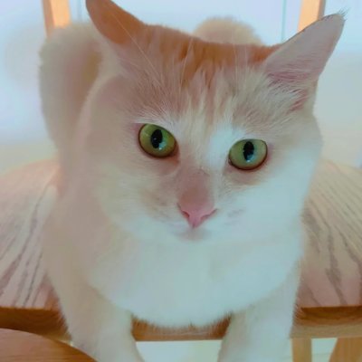 ABkureekkad's profile picture. 💕 Carrying kindness wherever I go 🌸
🌟 Walking fearlessly toward my dreams ✨
🌱 Finding strength in every challenge 🌿