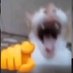 DININHO (@dininho_ni) Twitter profile photo DININHO (@dininho_ni) Twitter profile photo