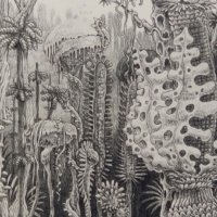 C. White (@distant__fires) 's Twitter Profile