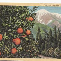 みお🐈＠温泉🗼 (@adriaandon84325) Twitter profile photo