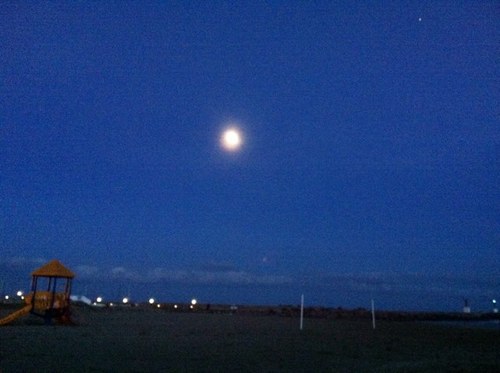 marialo25299457's profile picture. 