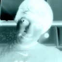 Skylar Tanner - @SkylarTmac - Twitter