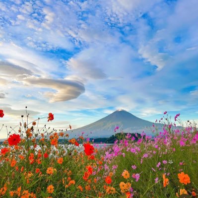 zu_1108's profile picture. いつか幸せになる未来を信じて今を生きる