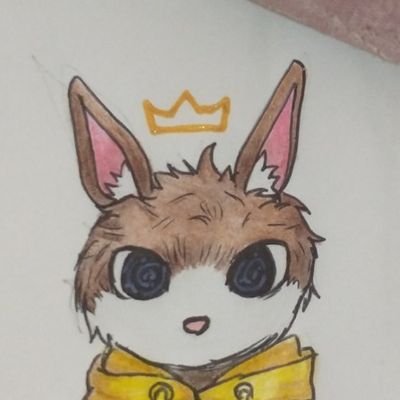 @BUNNYKING09