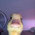 Jope (@jopezinnox) Twitter profile photo Jope (@jopezinnox) Twitter profile photo