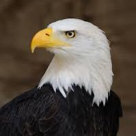 iglesias1565's profile picture. 