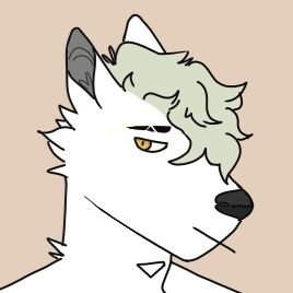 Manrak_'s profile picture. 20 anos | BR