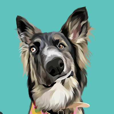 ponchoortt's profile picture. 