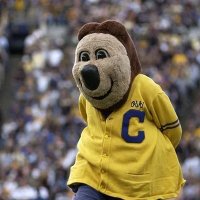 The Bear Necessities (@justthebears) 's Twitter Profile Photo The Bear Necessities (@justthebears) 's Twitter Profile Photo