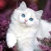Claudia🦋🌸🏵🏵🌿account/conta de fan (@claudia_de22328) Twitter profile photo Claudia🦋🌸🏵🏵🌿account/conta de fan (@claudia_de22328) Twitter profile photo