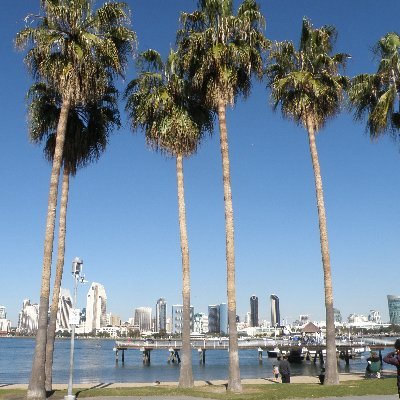 aliwallwall's profile picture. 