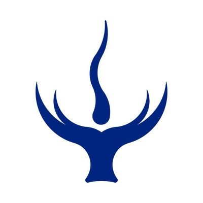 Fevertree2001's profile picture. AIGC CREATOR
📬：fevertree2001@gmail.com