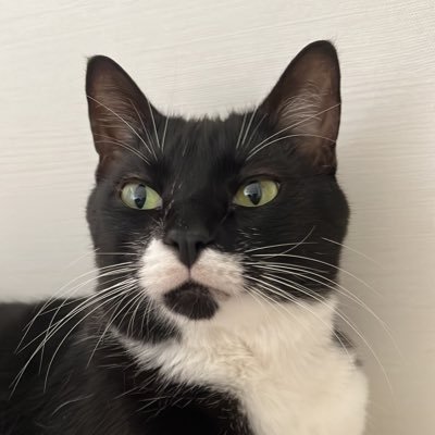 LisaTrevore's profile picture. triste; depressivo; lutando dia pos dia pra levantar; enfim, eu.