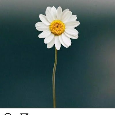 wanolive1504's profile picture. wanolive1504