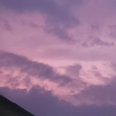 NyxDewi's profile picture. 