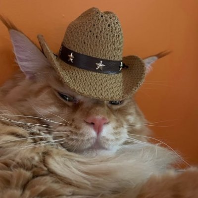 SoCloneH's profile picture. Tatu