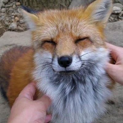 🦊 Caço as melhores promos e te ajudo a economizar.
Grupo vip de ofertas: https://t.co/htSrwHD1vv
- Ative as Notificações.