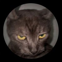 Mikeluthur_7 (@mikeluthur) 's Twitter Profile