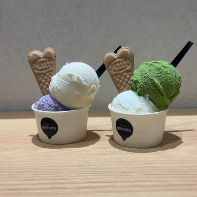 もちさんのプロフィール画像