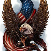NCOfreedom1776 (@ncofreedom1776) 's Twitter Profile