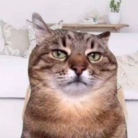 Amanda Rosa (@annieandreacg) 's Twitter Profile